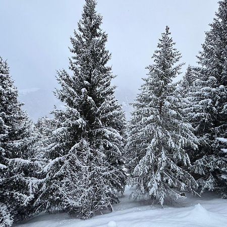 Bellavista Marilleva 1400 - Val Di Sole Lägenhet Exteriör bild
