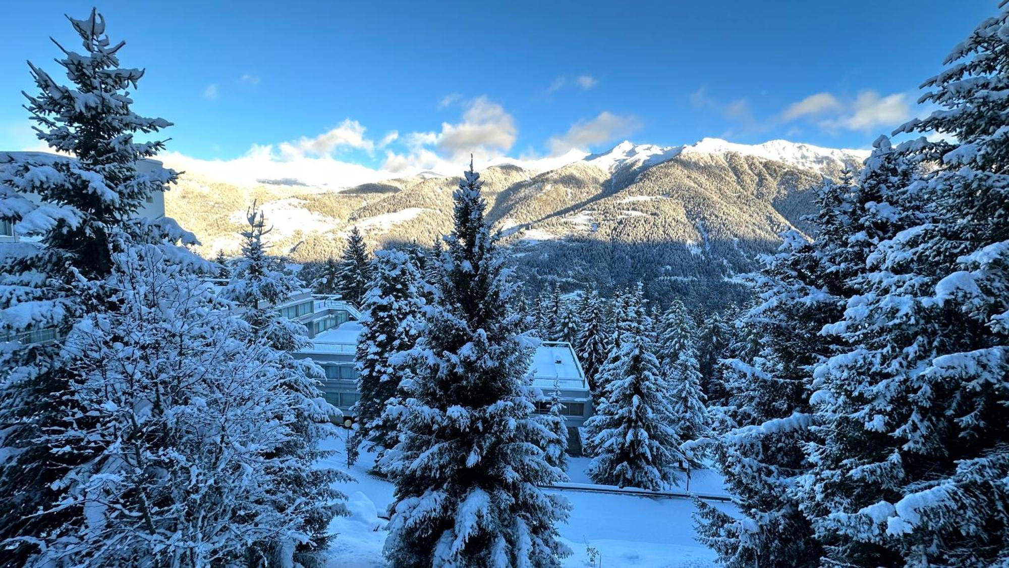 Bellavista Marilleva 1400 - Val Di Sole Lägenhet Exteriör bild